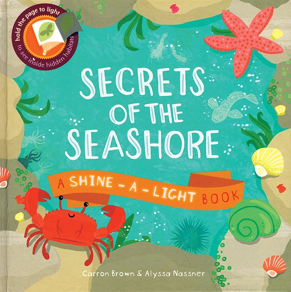Shine a Light: Seashore